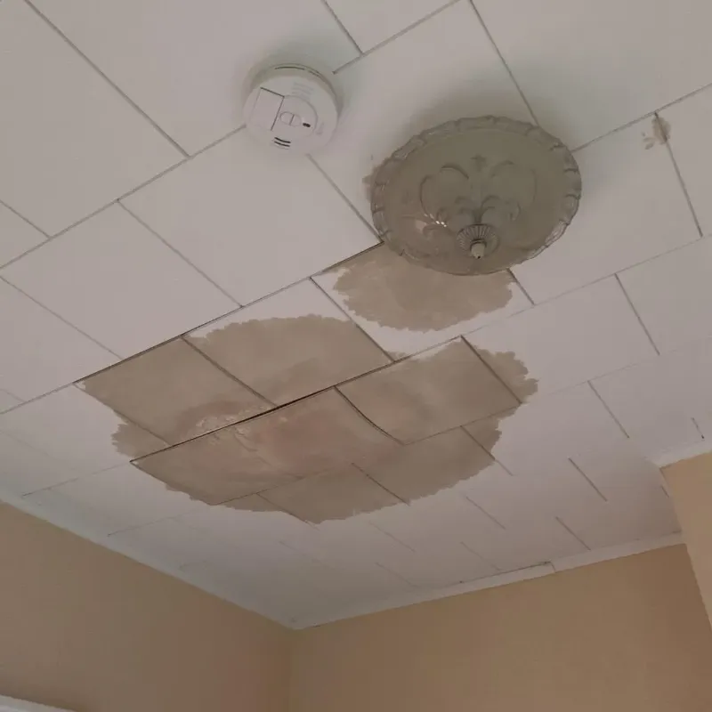 Ceiling Water Damage Repair in Matteson, IL