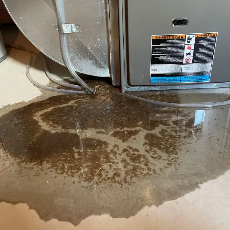 Pipe Burst and Leak Restoration in Matteson, IL