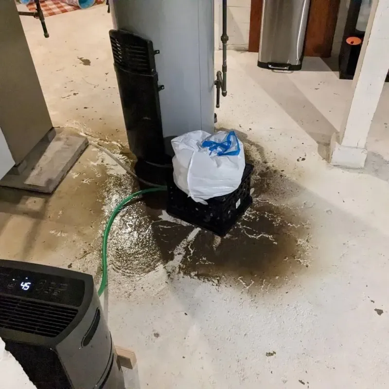 Sewage Backup Cleanup Service in Matteson, IL